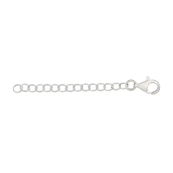 Silver Necklace Extender - Citrus