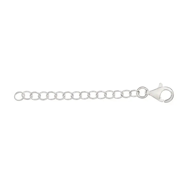 Silver Necklace Extender - Citrus